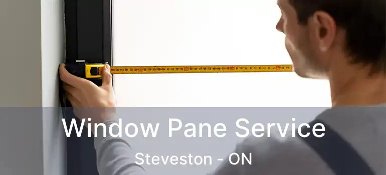  Window Pane Service Steveston - ON