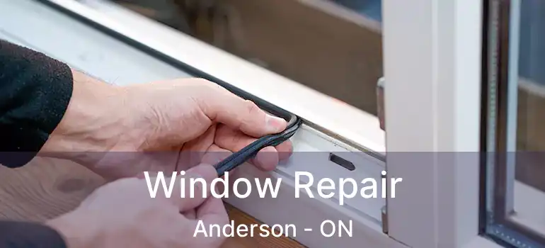  Window Repair Anderson - ON