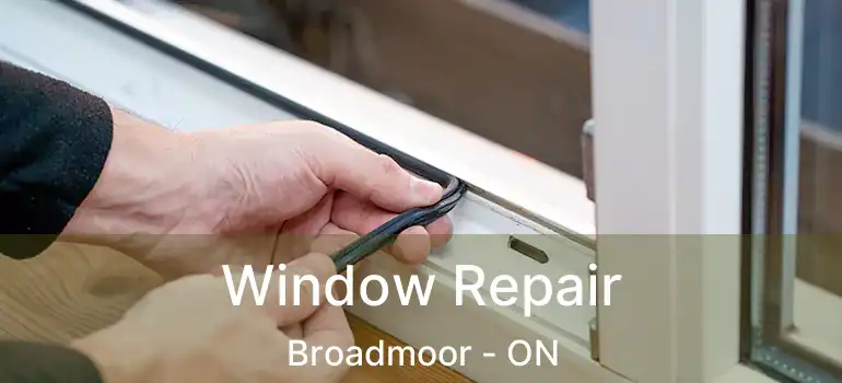  Window Repair Broadmoor - ON