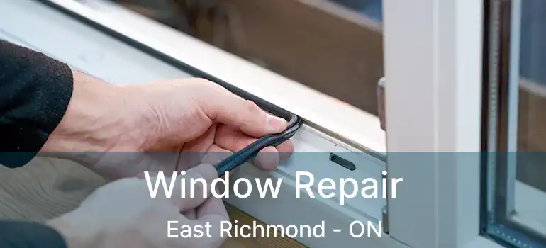  Window Repair East Richmond - ON