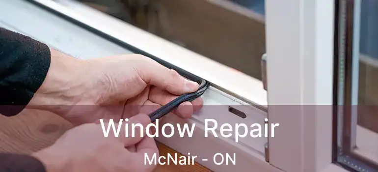  Window Repair McNair - ON