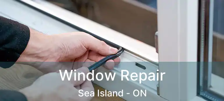  Window Repair Sea Island - ON