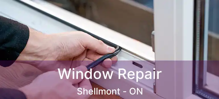  Window Repair Shellmont - ON