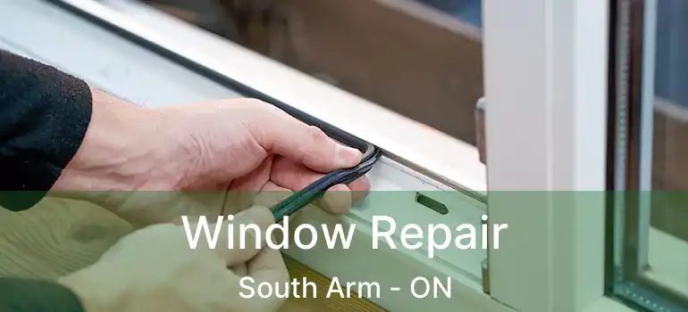 Window Repair South Arm - ON