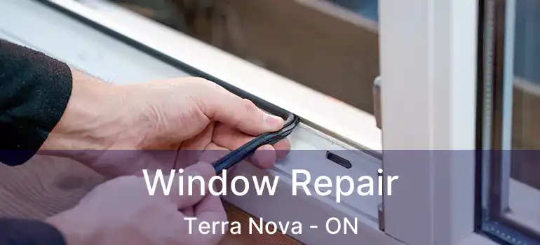  Window Repair Terra Nova - ON