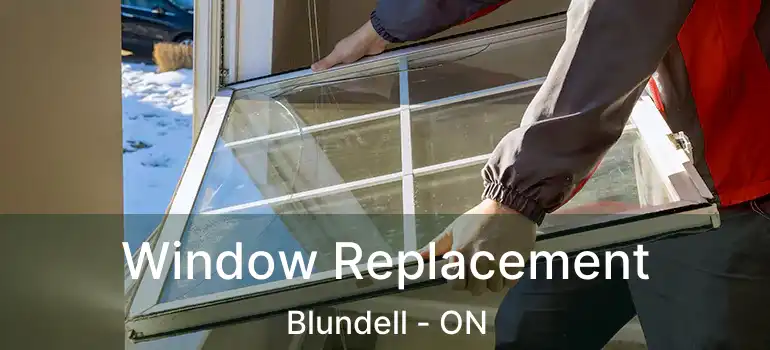  Window Replacement Blundell - ON