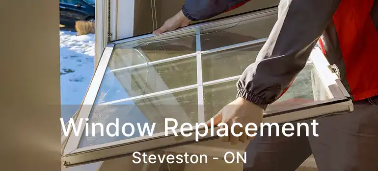  Window Replacement Steveston - ON