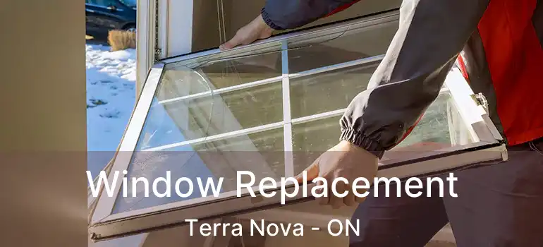  Window Replacement Terra Nova - ON
