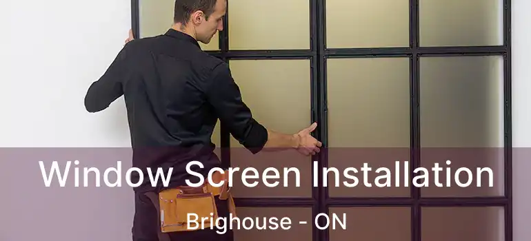  Window Screen Installation Brighouse - ON