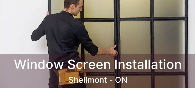  Window Screen Installation Shellmont - ON