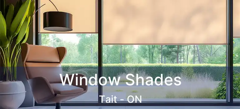  Window Shades Tait - ON