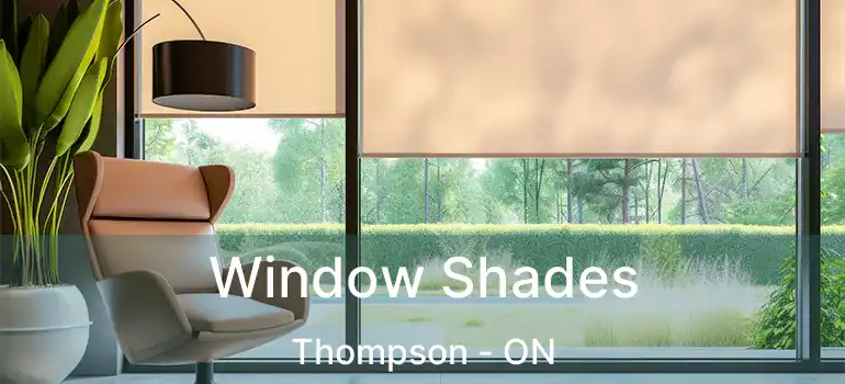  Window Shades Thompson - ON
