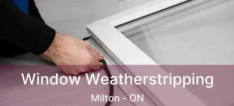  Window Weatherstripping Milton - ON