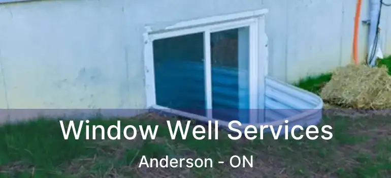  Window Well Services Anderson - ON