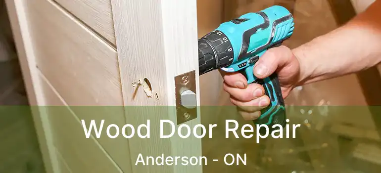  Wood Door Repair Anderson - ON